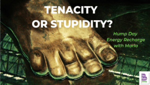 Tenacity-stupidity-stop-assess-help-BeFabBeYou